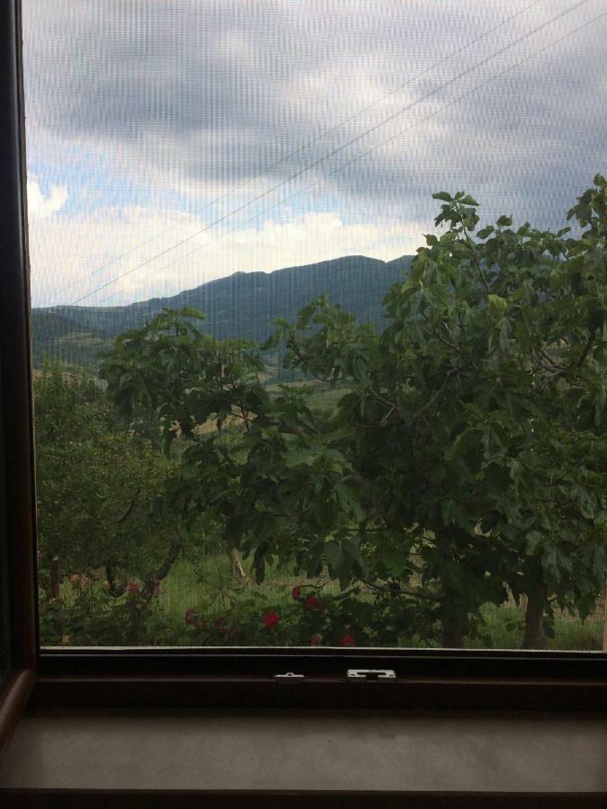 La Casa Nel Verde Castelmezzano Luaran gambar